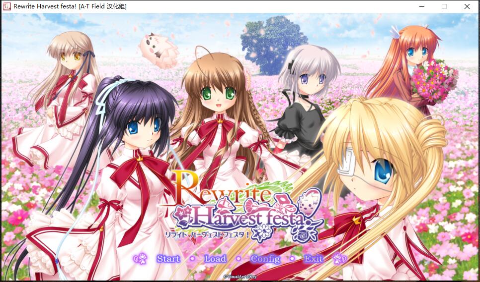 Rewrite Harvest festa! 中文汉化日语发音硬盘版【334】